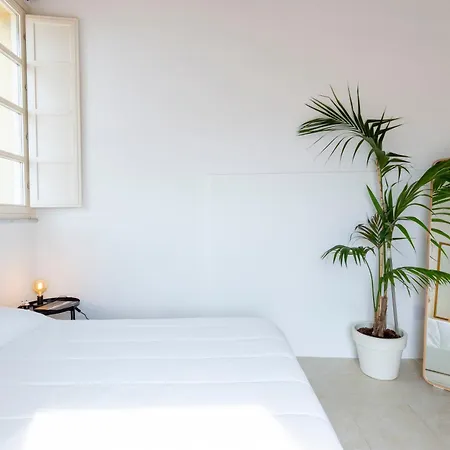 Appartement Penthouse With Terrace In Historic Centre *